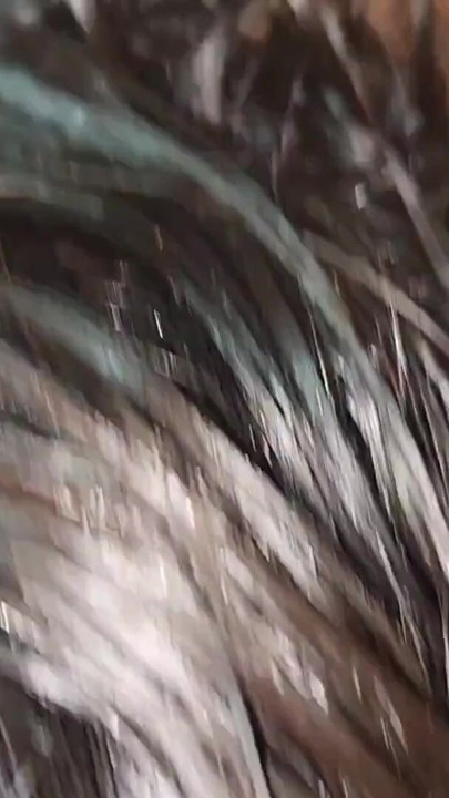 My Aunty crazy for hardcore | Clip 2