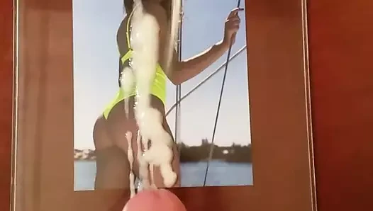 Wwe cathy kelley cumtribute