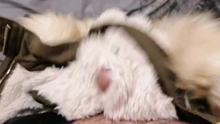 Miss Selfridge - Parka kaki avec capuche en fourrure de luxe - vidéo de branlette