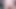 Tam sürüm - kedimi bonus fotoğraflarla tıraş etmek