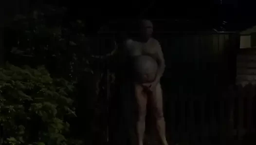 gece bahçesi