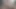 BBW Shemale Pinky Doggystyles Giant Dildo for First Time