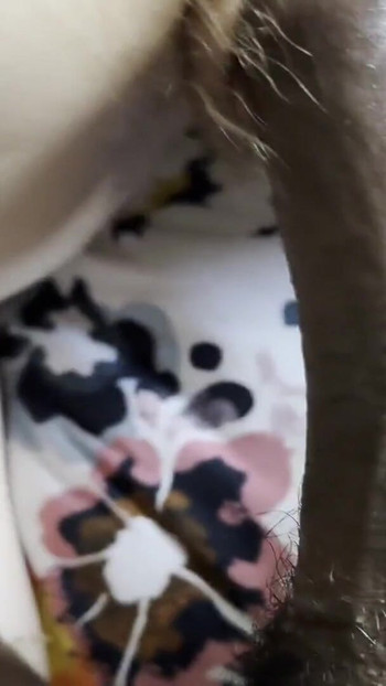 Stunning moment from "Real homemade Young Milf - My First Time Riding A Black Cock"