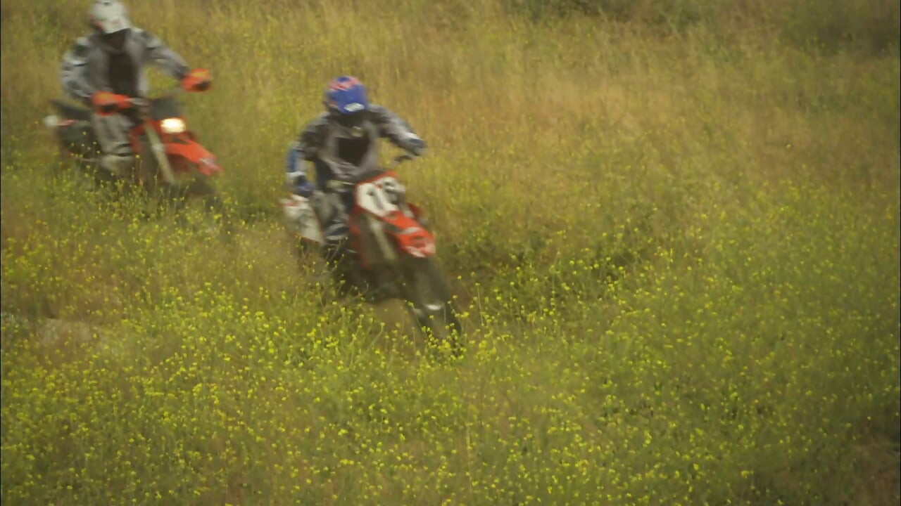 Blondes mädchen lutscht und reitet einen riesigen schwanz auf dem gras, während sie auf dem picknick sind