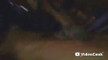Pratinjau video