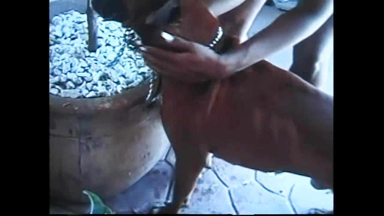 Beautiful Young Black Busty Enjoys Doggy Style with a Monster Black Cock