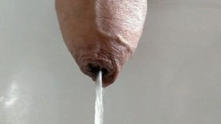 My foreskin cock piss