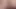 CANNED ASS JOCKERS COCK: HOT TRANS