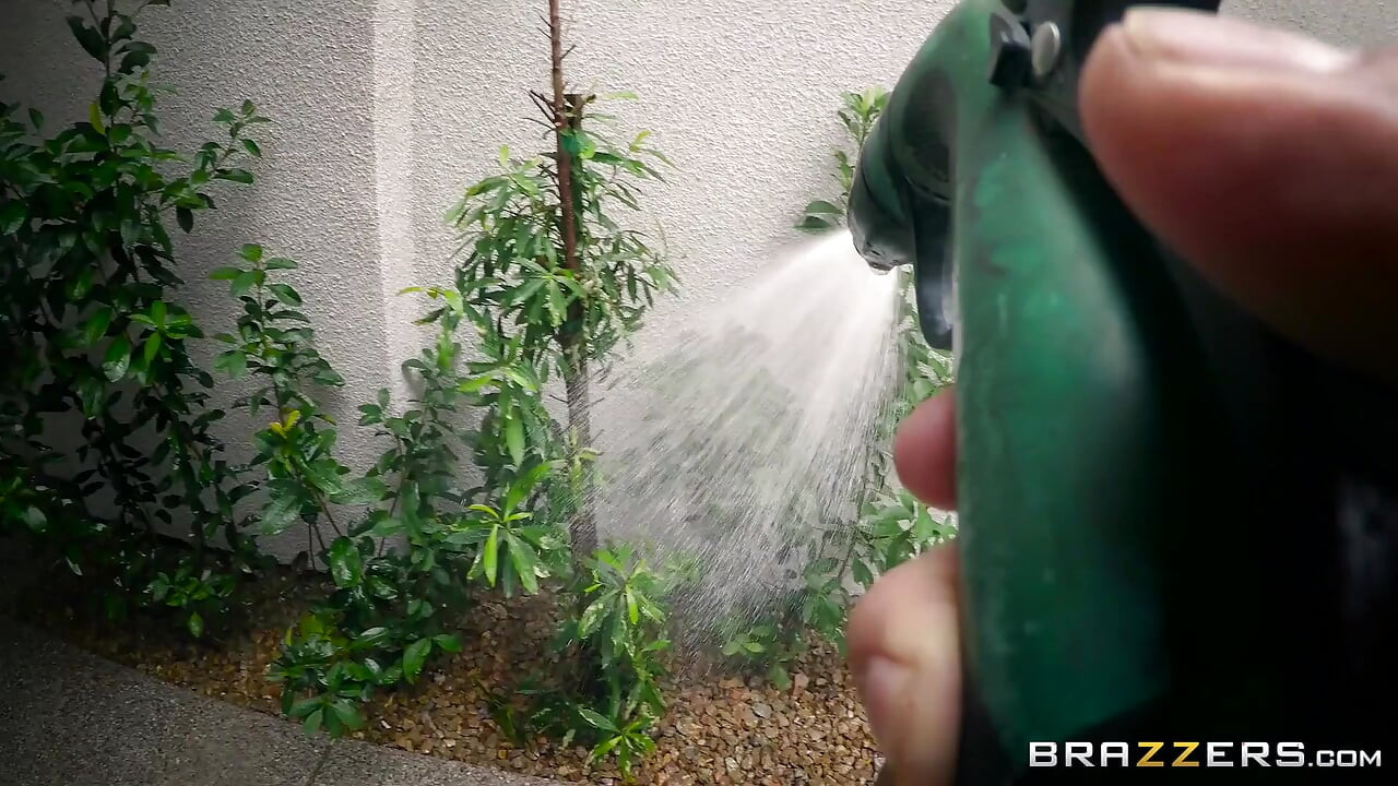 Brazzers - Danny potrzebuje trochę gotówki, więc chętnie pomaga zdesperowany, aby zerżnąć mamuśkę Alexis Fawx