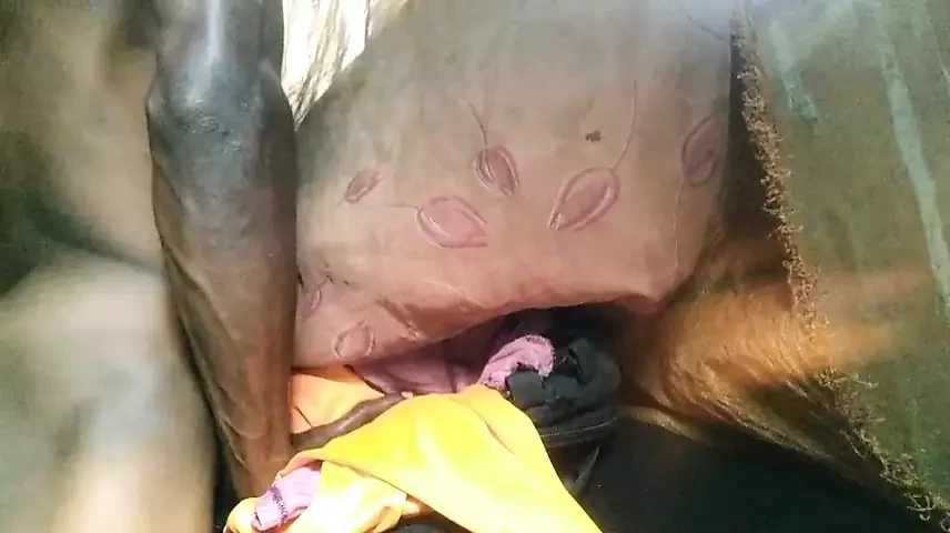 Ragazzo scopa gratis figa e sperma molto bene
