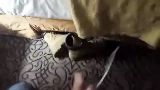 Azgın boşalma