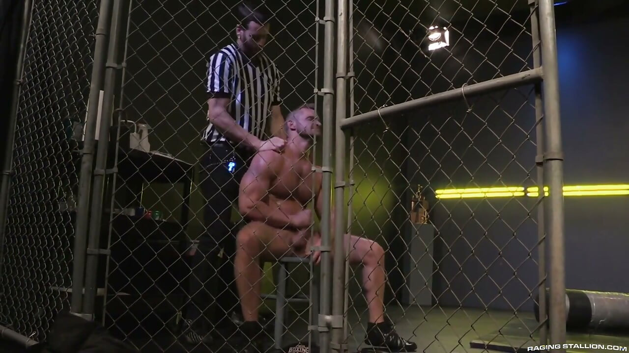 Cock Fight! Match 1