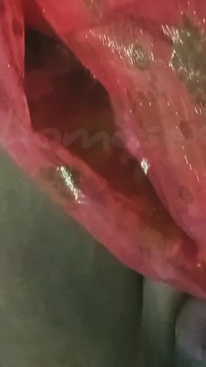 孟加拉新婚哥的性爱视频 | 短片 1