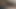 fucking my hairy pawg wife