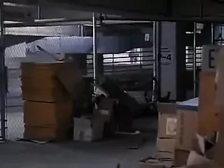 LL Erotic Thriller 1991