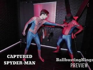 L'uomo ragno viene catturato