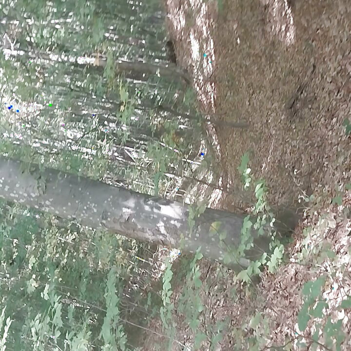 Pušenje i svršavanje u parku