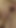 Our Most Viewed Porn Video Just for Jerk off Encouragement, Edging and Cum Challenge - BBW SSBBW Woman Big Fat Pussy