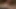 Seksi zenci kedi Hotkinkyjo mrhankey'den büyük beyaz dildo alıyor anal ve açık havada sarkma