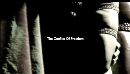 The Art Whore: 'The Conflict Of Freedom'