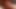 Huge Precum Drop with Thick Messy Cumshot in the Forest