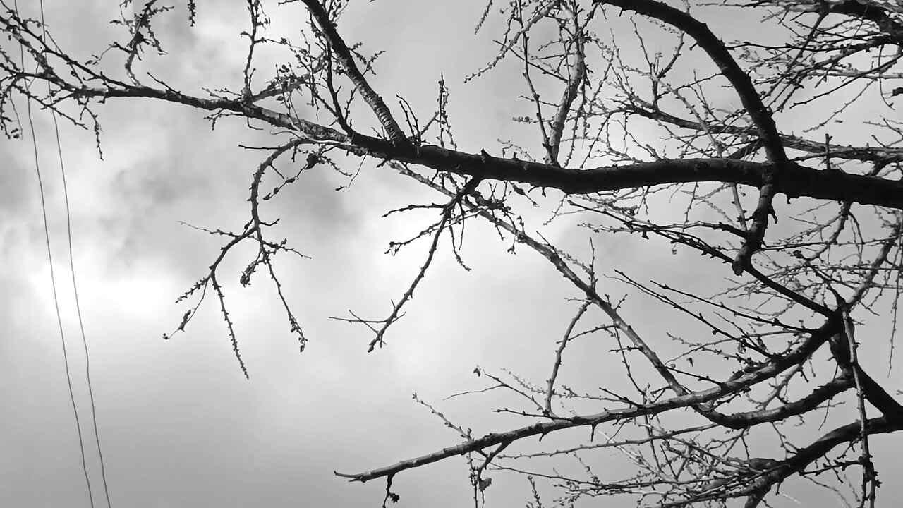 在大自然中撒尿