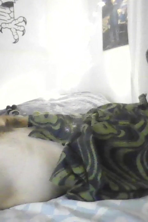 I Checked My Stepsister's Cell Phone and Got Turned on When I Saw Her Gorgeous Boobs