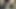 siyah vs beyaz çıplak güreş