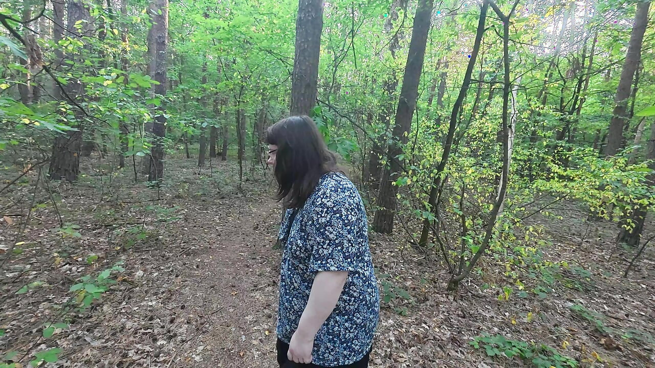 Um passeio na floresta