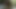 ぽっちゃり系美女がチンポに突っ込む