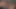 ブランディはそのしかめ面をひっくり返す