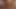 Another ass teaser