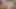 Redhead hairy pussy pee a lot updress in the toilet and farts 4K 60FPS