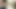 Pakistan seks
