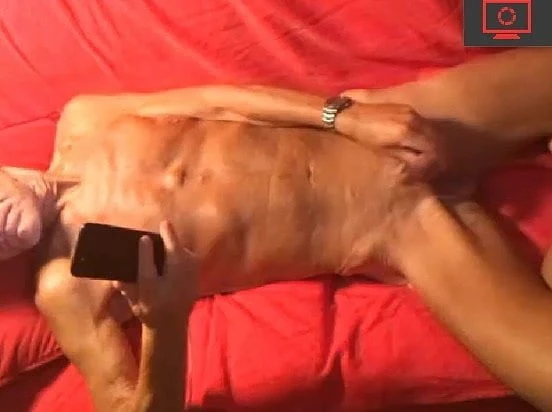 Deda laže i drka