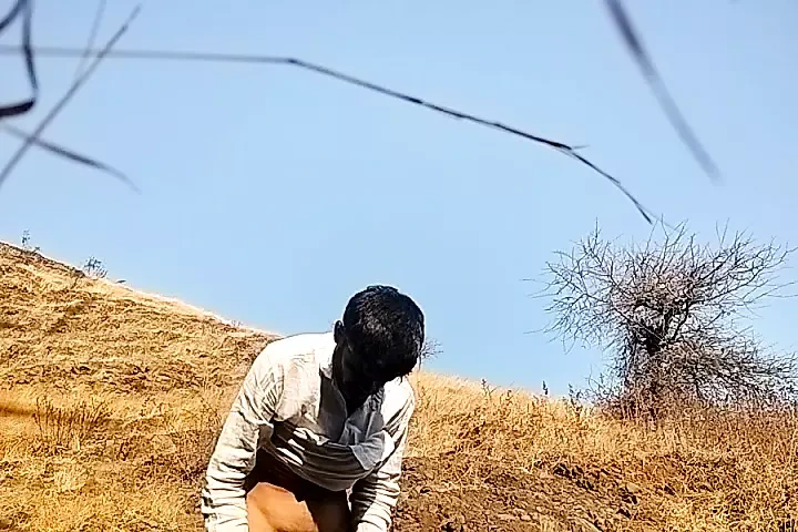 Bm Brilliant