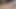 美しい妻をマッサージしてセックスする