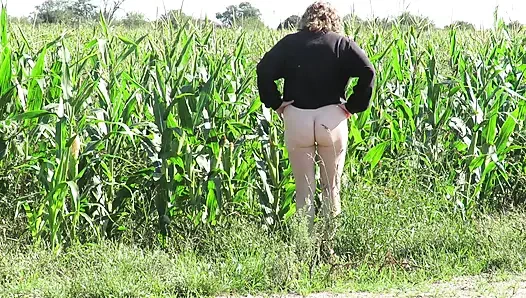 Patricia di ladang jagung