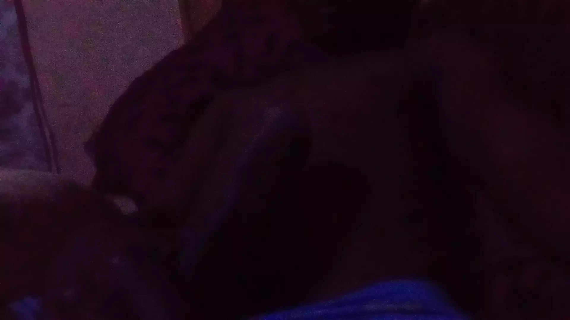 Siyah yarak anaconda