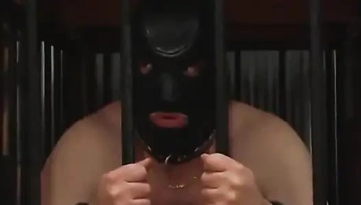 Two Dominatrix amuse themselves by whipping and paddling a fat slave