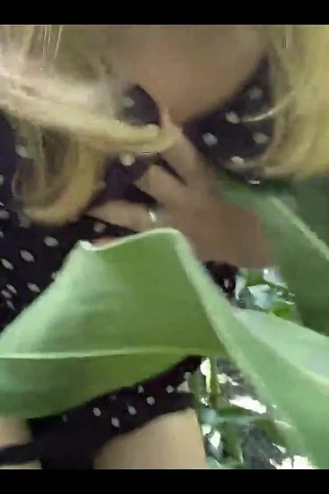 トウモロコシ畑で女の子と性交 - 屋外セックス