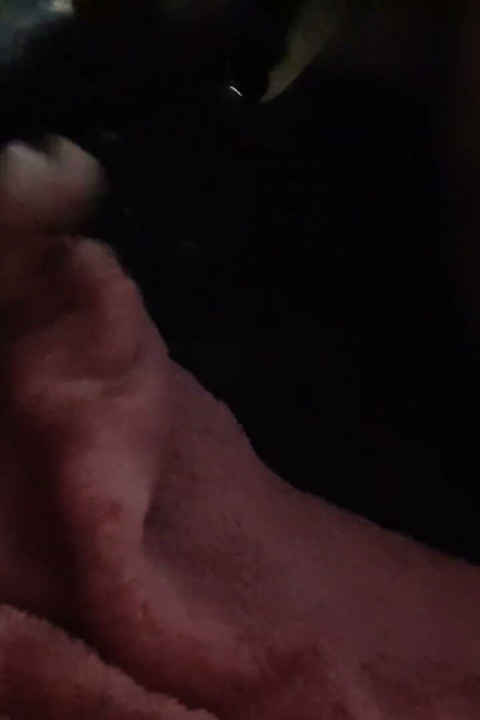 Sex Anal