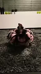 belt bondage