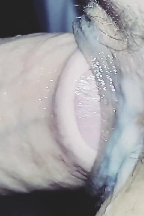 아빠의 자지와 안에 사정하는 의붓여동생