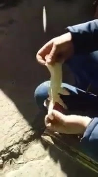 Khtikom mell tbanyit w galboha bofate