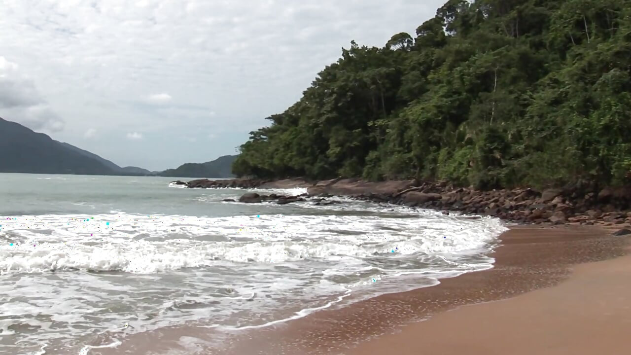 해변에서의 섹스 - 게이