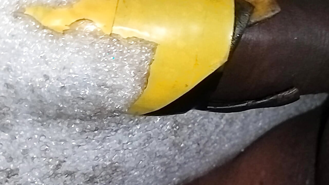 Beauty Cock