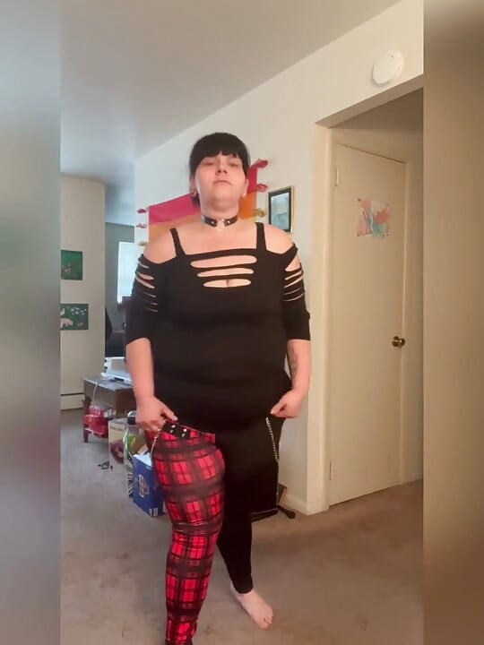 Thick Cat Playtime