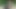 彼女のためにゴムコックStraponを吹く