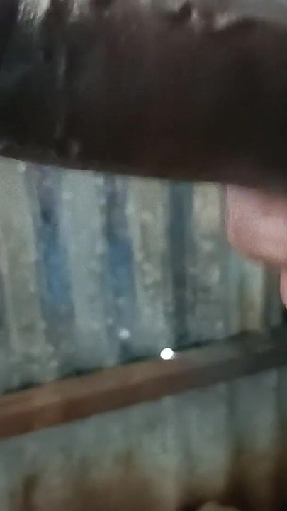Must-share moment from "6 inch pocket pussy is very small for me my bib back cock size is more than 9 inch kartik bbc"